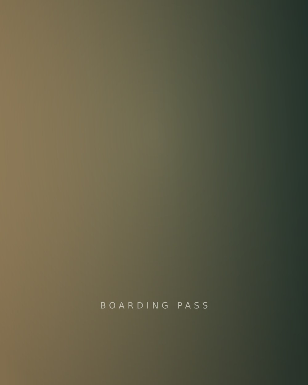 Aeronest boarding pass application