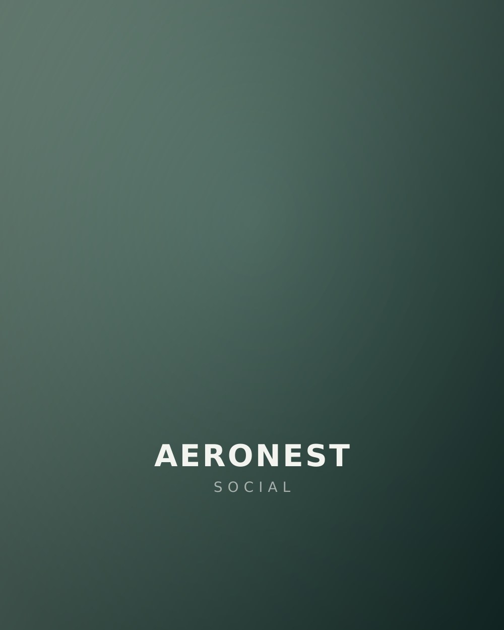 Aeronest social application